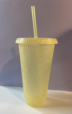 17oz. Glitter Tumbler