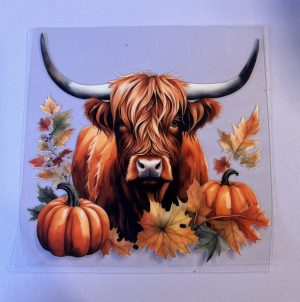 Decal