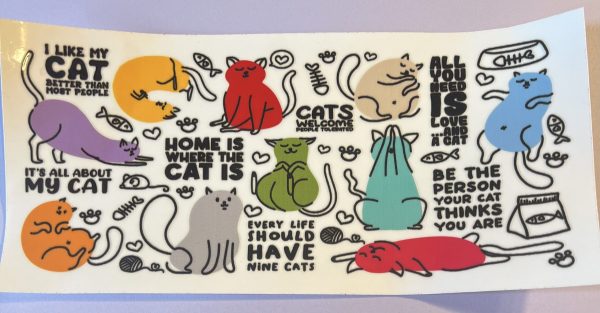Animals- Cats