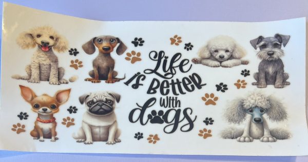 Animals- Dogs