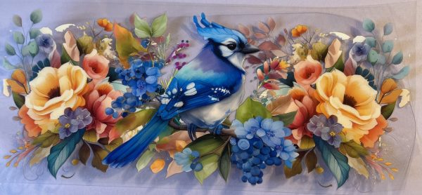Animals- Birds