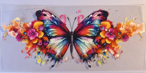 Animals- Butterflies