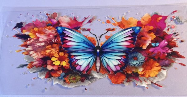 Animals- Butterflies