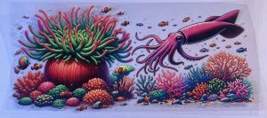 Animals- Sea Life