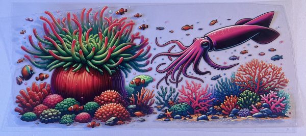 Animals- Sea Life