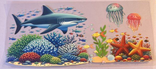 Animals- Sea Life