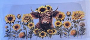 Animals- Cows