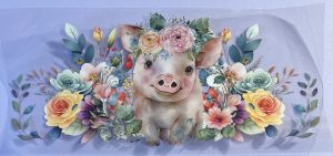 Animals- Pig