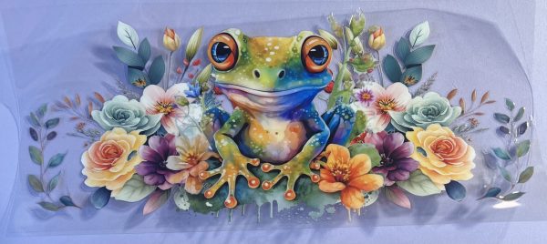 Animals- Frog