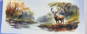 Animals- Deer
