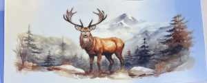 Animals- Deer