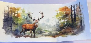 Animals- Deer