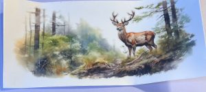 Animals- Deer