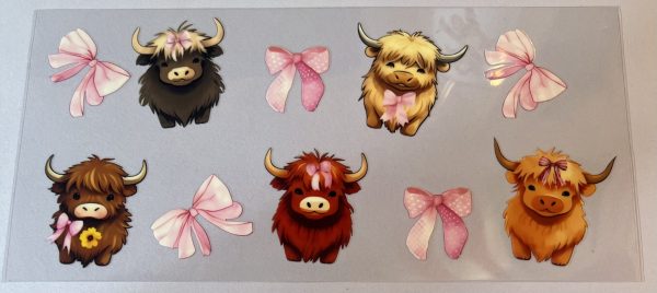 Animals  Theme
