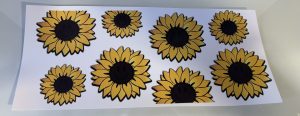 Flowers  Theme